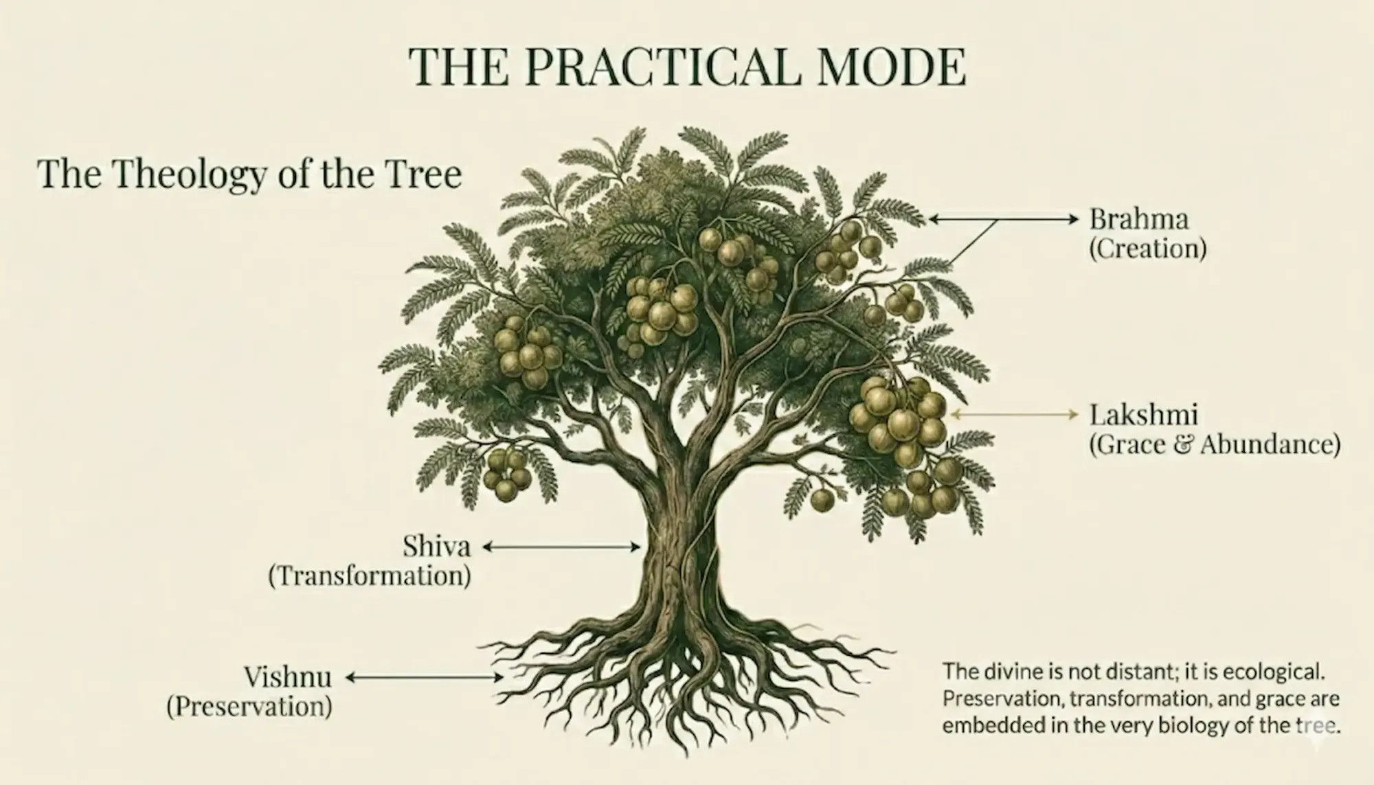 Symbolic sacred Amla tree representing cosmic creation & divine grace on Amalaki Ekadashi.