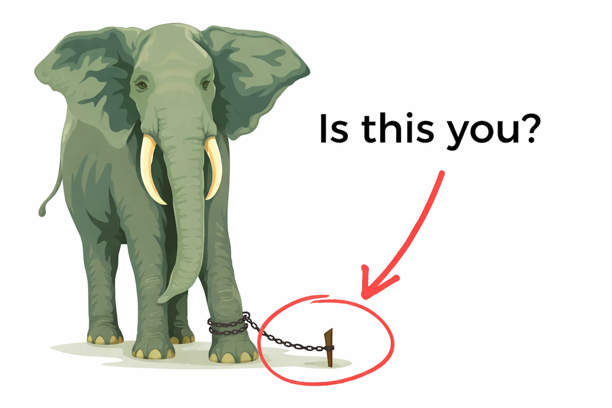 How limiting beliefs from the subconscious mind keep people trapped.