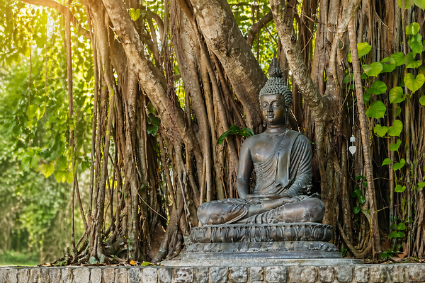 The Spiritual Significance of Buddha Jayanti in Modern Life