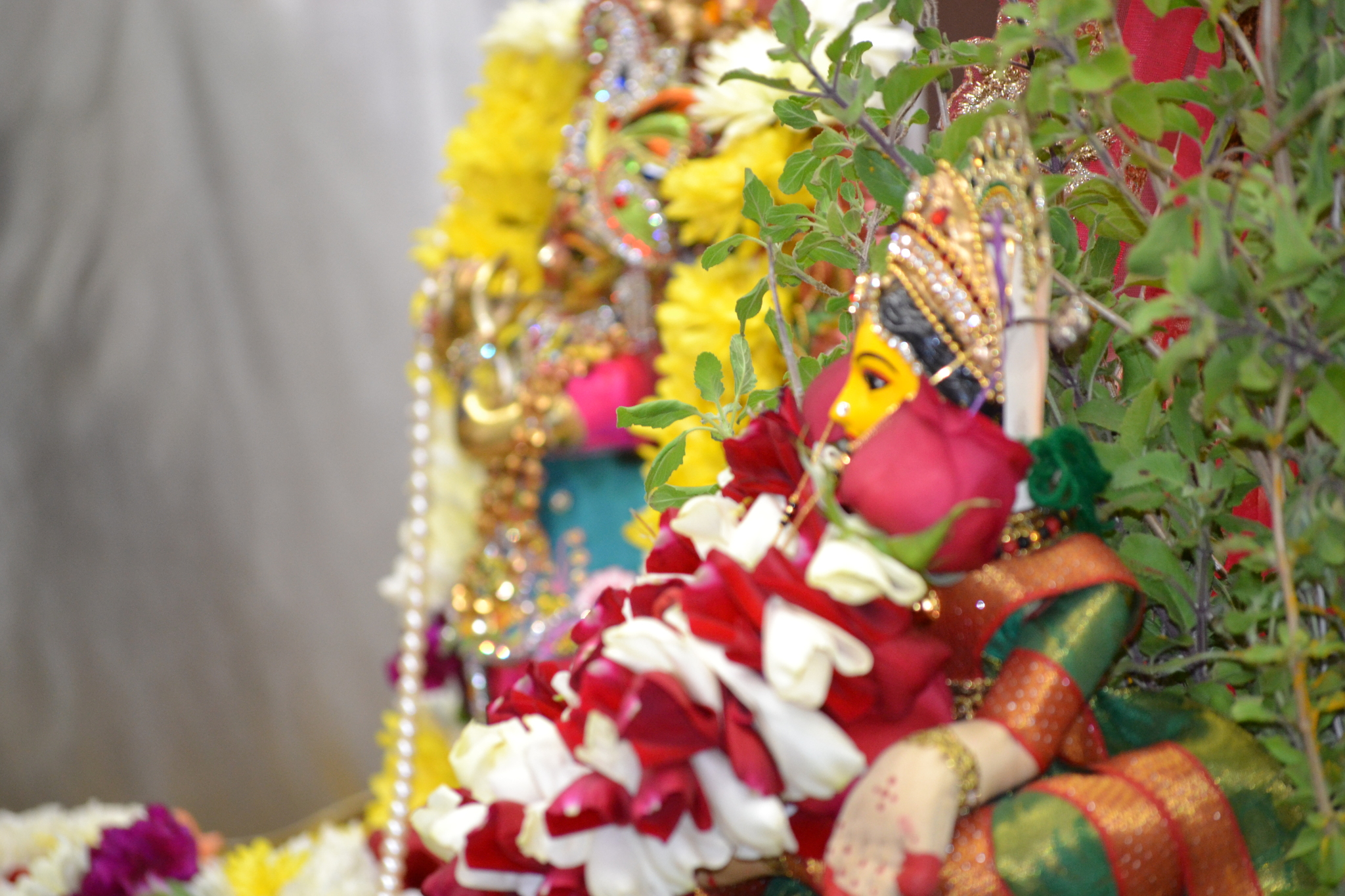 Tulsi Maa and Krishna's Wedding celebration