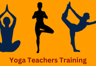 Yoga Teachers' Training